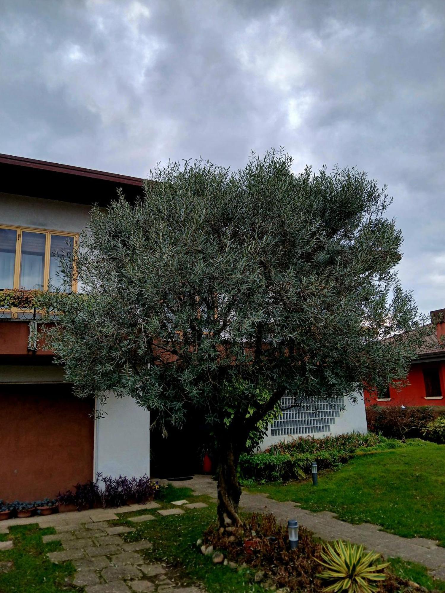 B&B Ponte Marchese Caldogno Buitenkant foto