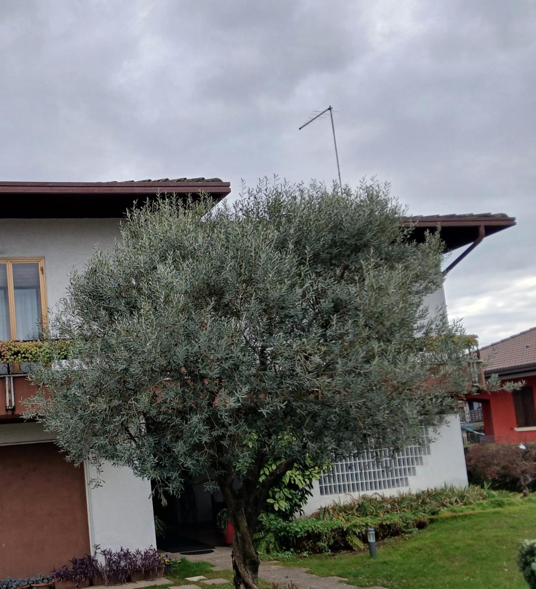B&B Ponte Marchese Caldogno Buitenkant foto